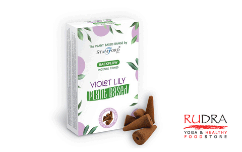 Violet Lilly "Backflow" konusi