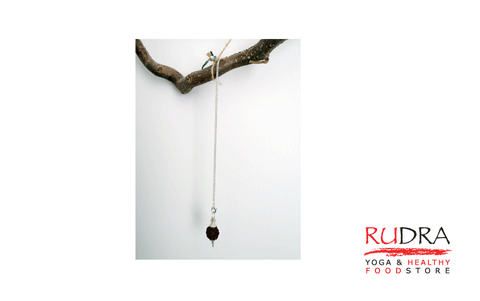 Svārstiņš ar rudrakšu (Pendulum)