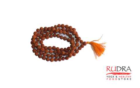 Rudrakša mala apm. 5mm
