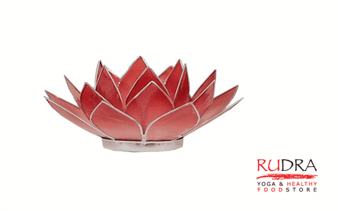 Svečturs Lotusa zieds, sudraba rāmītis