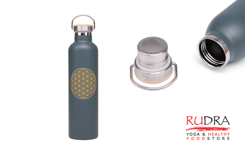 Trauks / termoss ūdens līdzņemšanai (zieds, pelēks), 600ml