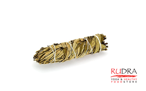 Kaltēta Yerba Santa salvija, 10cm