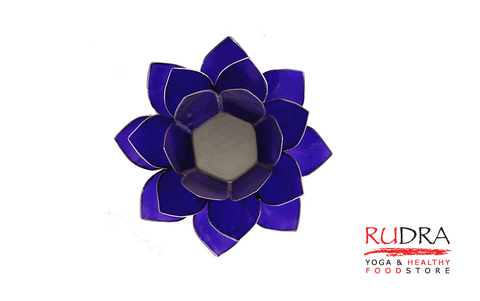 Svečturs Lotusa zieds, sudraba rāmītis